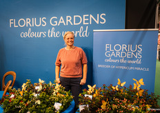 Siska van Kessel van Florius Gardens, hypericum veredeling