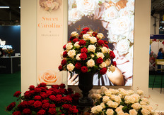 Sweet Caroline van Brockhoff in de picture