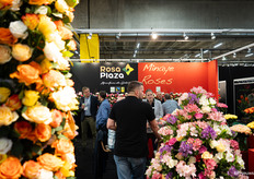 In de stand van Rosa Plaza