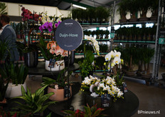 Duijn-Hove, waar de beurs ook plaatsvond