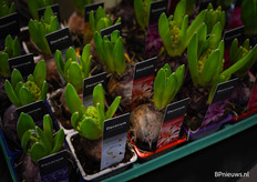 Het voelt al een beetje als voorjaar :)