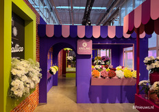 Elke kweker heeft een eigen 'winkeltje' op de Deli Flower Market