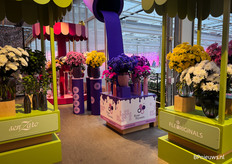 En een verfwinkel, voor de geverfde bloemen