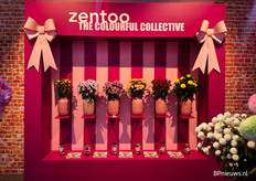 Zou het een snoepwinkel zijn?