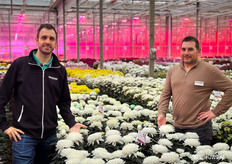 Roy Ton van Arcadia Chrysanten en Erik van Wijk, sales voor chrysanten bij Decorum