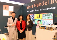 Tony Cui, Xi Chen en Noora Zhang van Siere Handel