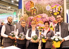Het Selecta team laat hun chrysanten zien