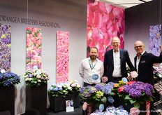 Welkom bij Hydrangea Breeders Association
