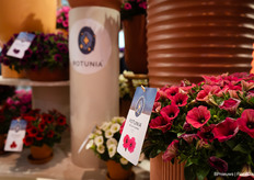 Nieuwe merkuitstraling bij Dümmen Orange