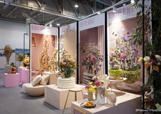 chrysanten in de spotlight op het bloemistenplein