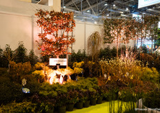 En een buitentuin ontworpen door Romeo met planten van Arie Bouman tuinplanten