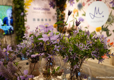 Zeg je clematis, dan zeg je Marginpar