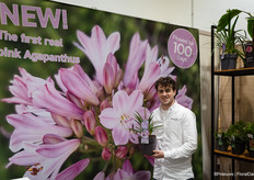Tim Sonneveld van Hoogeveen Plants met de eerste echte roze Agapanthus