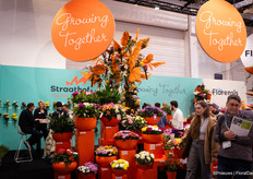 Drukte in de stand van Straathof Young Plants