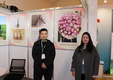 Hong qiang en Peipei Chen (Heze Xuanye Flowers) De pioenrozenmarkt groeit nog steeds.