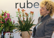 Vol enthousiasme laat Laura Righetti (Floricultura Bonato) deze mooie Anigozanthos zien. Helaas kunnen we niet al het moois op de foto zetten.