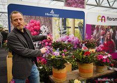Christoph Stevens van Floramor laat de populaire Rhodondendron zien, die in verschillende kleuren beschikbaar is