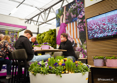 Voorjaarsvrolijkheid bij Kwekerij Wouters