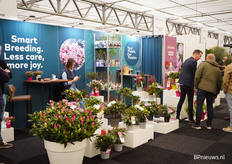 Mooie planten in bloei bij Leybaert