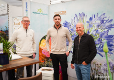 Bij Highlands potplants hebben ze naast agapanthus en portulaca, binnenkort ook Cascade cymbidiums in het assortiment: https://www.bpnieuws.nl/article/9805192/lz-orchidee-onderweg-naar-morgen/