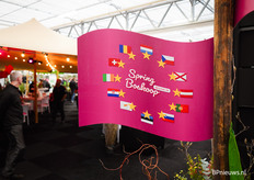 Spring begins in Boskoop