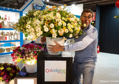 Cock van der Hoorn van Coloriginz met de Ranunculus Butterfly van Monarch Flowers