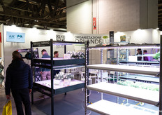 Vertical Farming bij Organizzazione Orlandelli