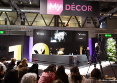 Op het MyDecor Podium vinden allerlei shows plaats