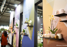 Naast bloemen en planten ook genoeg inspiratie voor toegevoegde waarde en andere interieurspullen