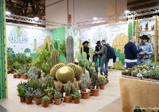 Van mini cactus tot gigantische reus, Cactiland