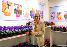 Gianfranco de Leo van Schoneveld Breeding met de Cyclamen dragon blue