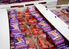 De aardbeien komen van hun locatie in Ethiopië