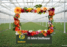 En een vrolijk frame om in op de foto te gaan