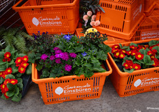 Het XXL tuincentrum van Emsflower