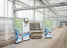 Voor de irrigatie van de planten maakt het bedrijf uitsluitend gebruik van regenwater. Dit water wordt volledig gerecycled en gereinigd met behulp van ozontechnologie.