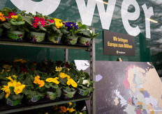 'Wir bringen Europa zum Blühen'