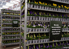 En genoeg vragen om over na te denken