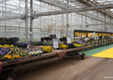 Tijdens de rondgang komt de hele geschiedenis van het bedrijf aan bod