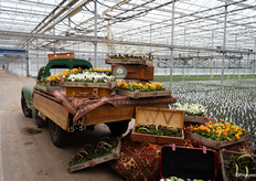 Inclusief oude details