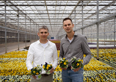 Tom en Bart Kuipers, 'der Geschäftsführer' van Emsflower