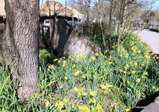 Het was volop voorjaar in het park