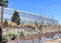 De grote kas was niet op 1 foto te krijgen