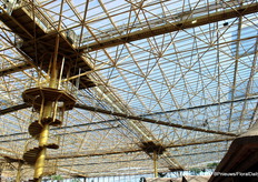 Voor de bezoekers zonder hoogtevrees is er een brug om de kas van bovenaf te zien