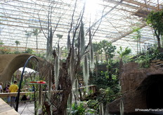 De kas heeft ook een vlindertuin