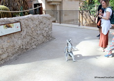 Een speciale gast wilde ook even meelopen met de rondleiding