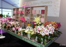 Hebben een groot assortiment mee. Op de beurs meerdere nieuwe soorten gepresenteerd.