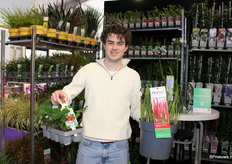 Jari Meertens van Hoogeveen Plants. Met in zijn handen de nieuwe Biologische Fragaria Ostara en de Portugese grassen die nu weer leverbaar zijn.