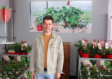 Wouter David van Dataflor. Kwekerij van aardbeiplanten en bolchrysanten.