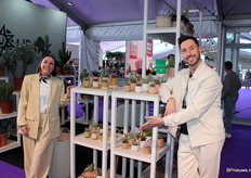 Anke van Hemert en Harold Burger van Ubink. Niet alleen de cactus maar ook de potterie eromheen word zelf ontwikkeld. Elk jaar nieuwe lijnen.