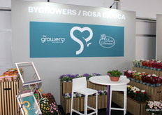 De stand van Rosa Danica.